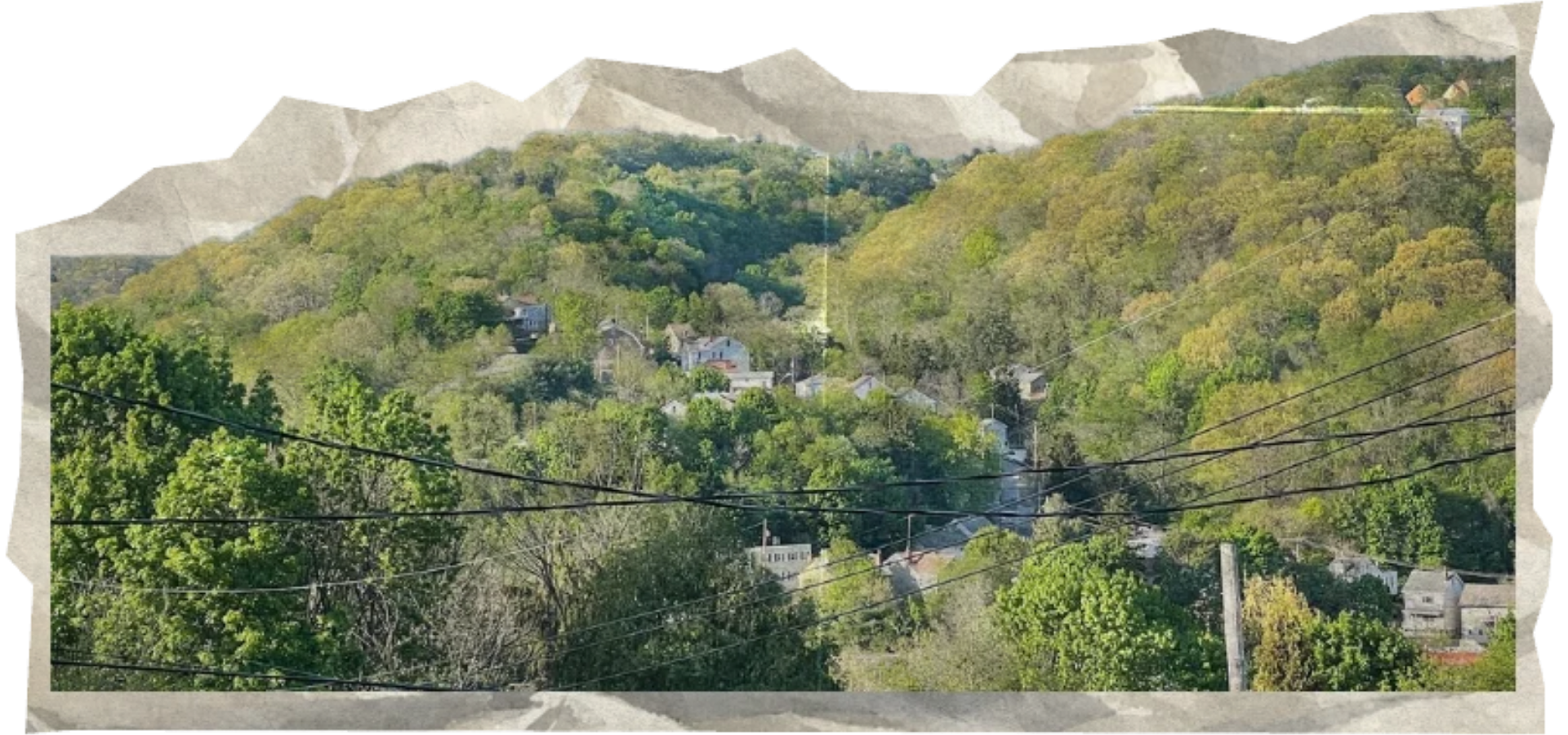 Grandview Gardens hillside